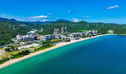 制定鱼游戏
海鲜经营违法行为举报奖励措施