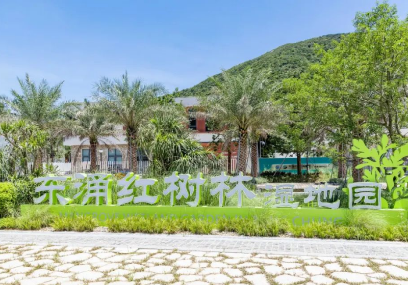图片:东涌红树林湿地公园