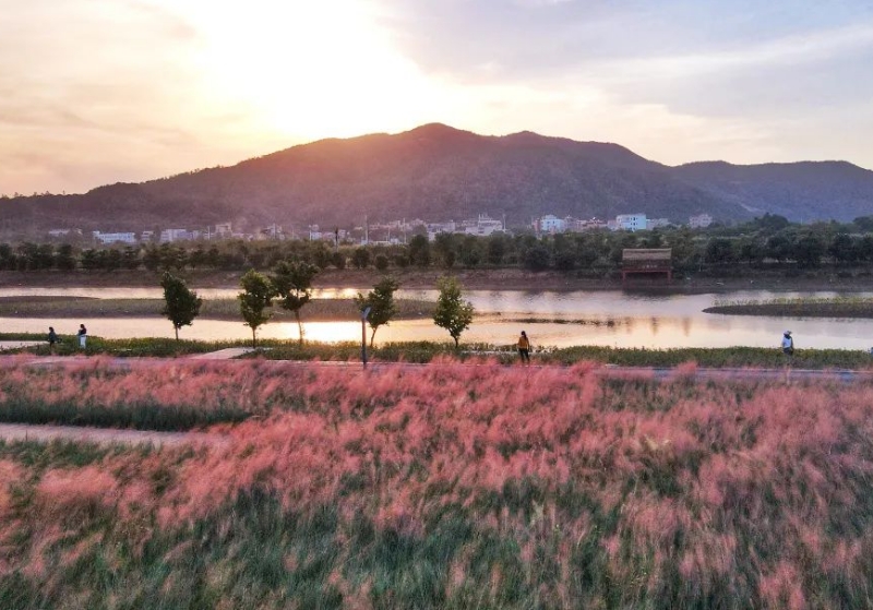 图片:新大禾塘湿地园